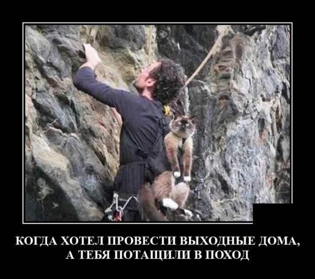demotivatory-demotivator-smeshnye-demotivatory-demotivator-so-smyslom