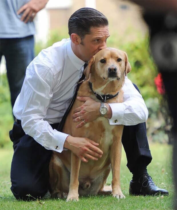 https://sobakibalabaki.com/wp-content/uploads/2017/09/love-for-dogs-tom-hardy-59bf7825ca31a__700.jpg