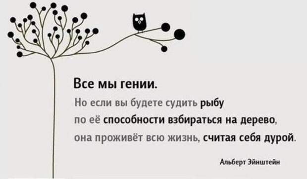 Доза позитива в прикольных картинках (38 шт)