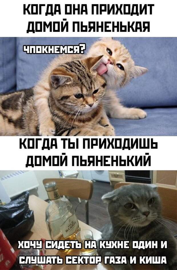 Смешные картинки 27 апреля 2021