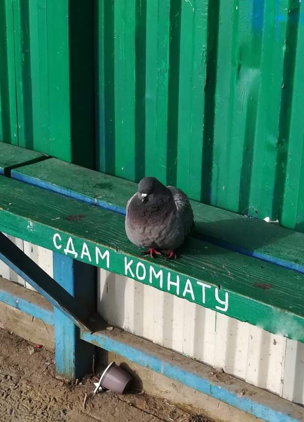 Фотоподборка