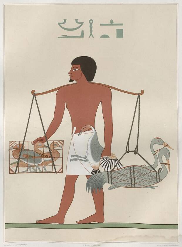 Из истории египетского искусства в иллюстрациях Эмиля Присса д'Авена (8).jpg
