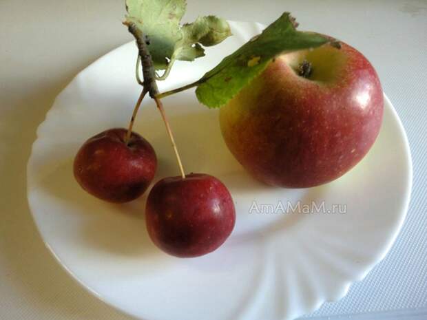 Фото китайки и обычного яблока для сравнения размера