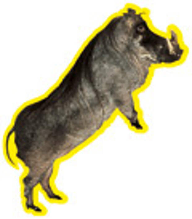 Фунтик