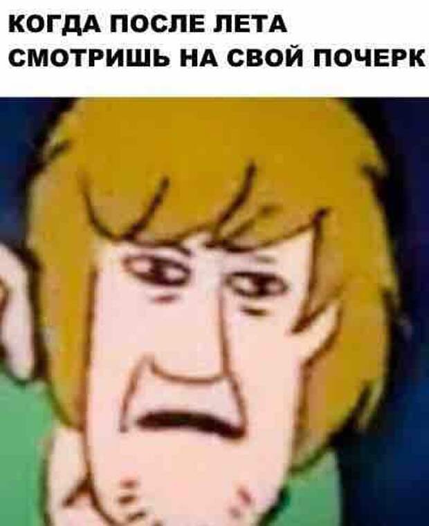 Новые прикольные фотомемы