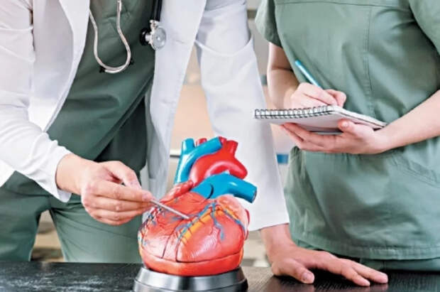 Кардиолог назвал 7 привычек перед сном, которые вредят здоровью сердца