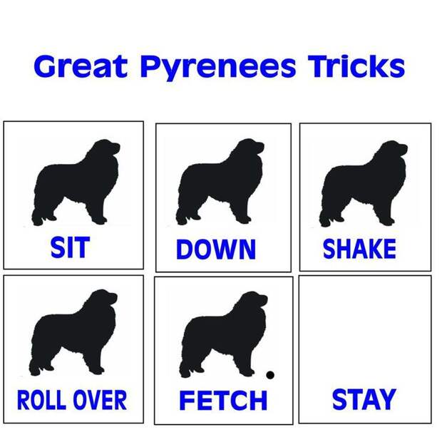 This is pretty accurate regarding the Great Pyrenees!