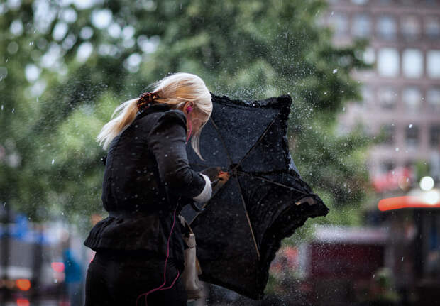 Под зонтом. (Ulf Bodin)