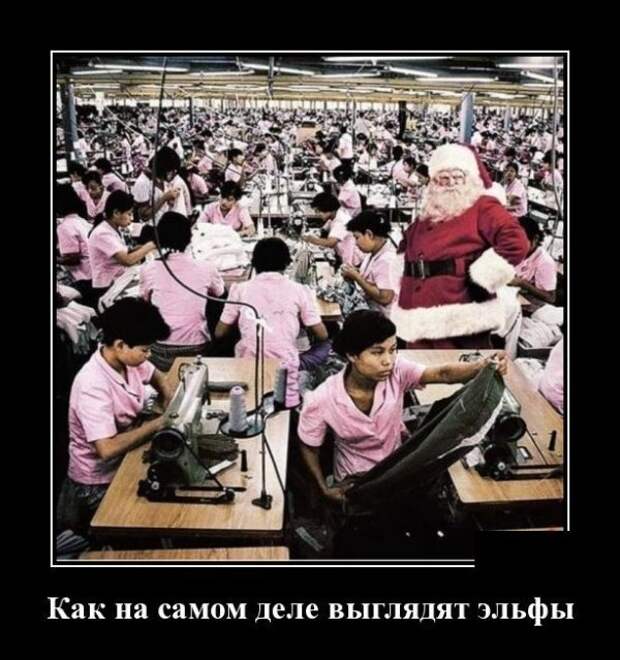 Демотиваторы, смотреть и поднимать настроение