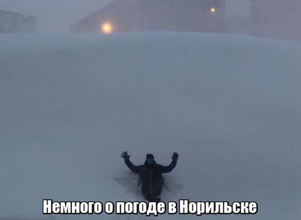 Подборка картинок. Дневной выпуск (20 фото)