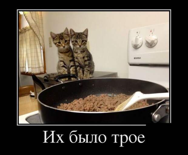Фабрика баянов. Партия №1 Фабрика_баянов, демотиваторы, юмор