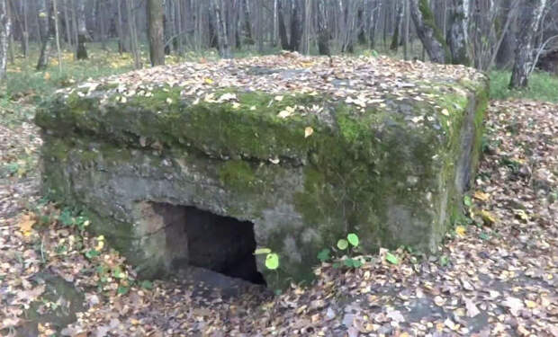 Бункер в лесу не трогали со времен войны: копатели нашли его первыми и вошли внутрь