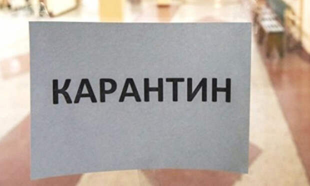 Карантин. Фото: moscow.er.ru