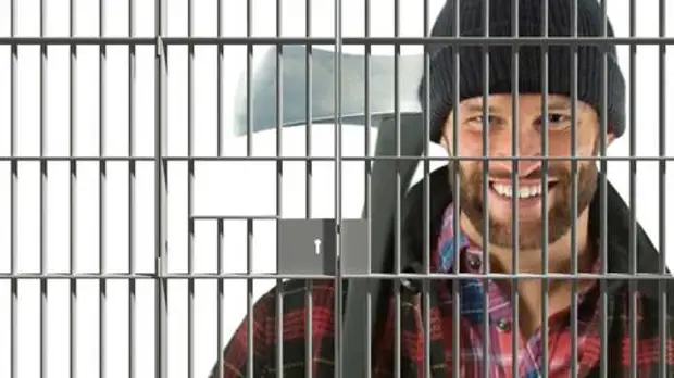 В Краснодаре черному лесорубу заменили условный срок на реальный