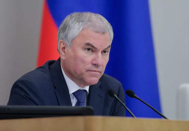 Председатель ГД: растет число принятых законов прямого действия