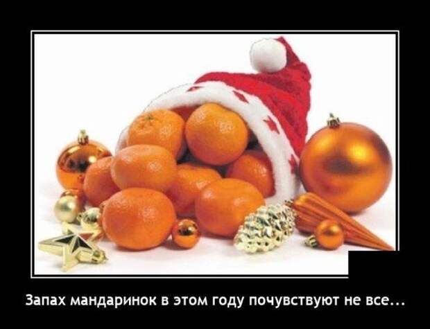 demotivatory-svezhie-demotivator-smeshnye-demotivatory-demotivator-so-smyslom