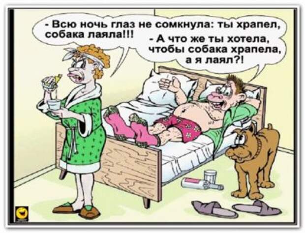 Юморные картинки
