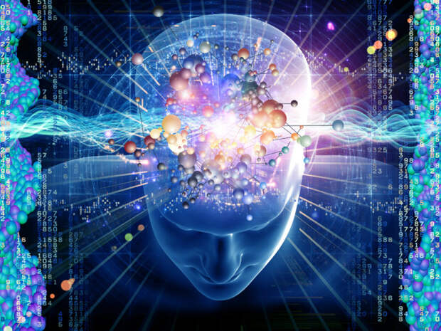 Мозг способен сам себя переваривать интересно, исследования, мозг, наука, познание, ученые, факты, эксперименты