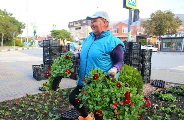 Виола и декоративная капуста: в Геленджике высадят 210 тысяч цветов