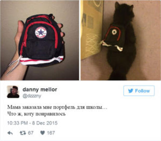 Покупки, которые заставляют страдать