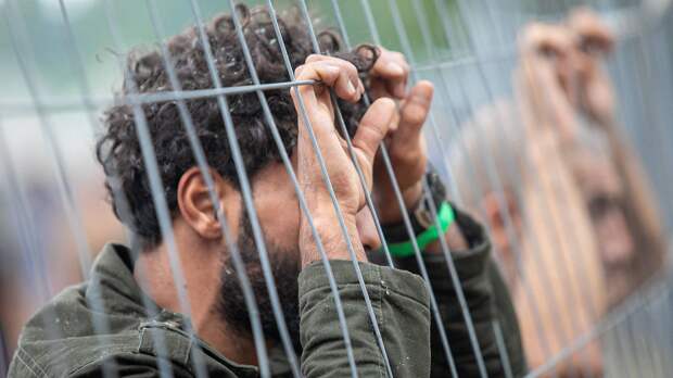 Беларусь обтягивают колючей проволокой: как соседи Лукашенко спасаются от нелегальных мигрантов