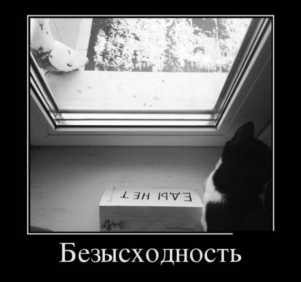Демотиваторы (30 фото)