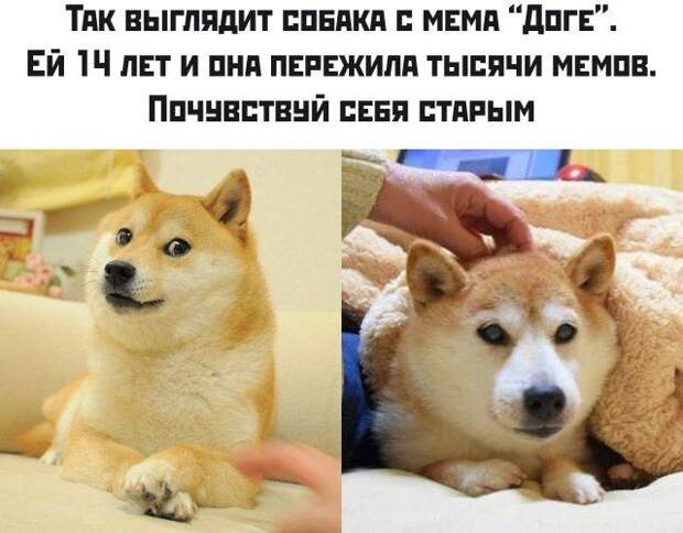 www.vsyako.net