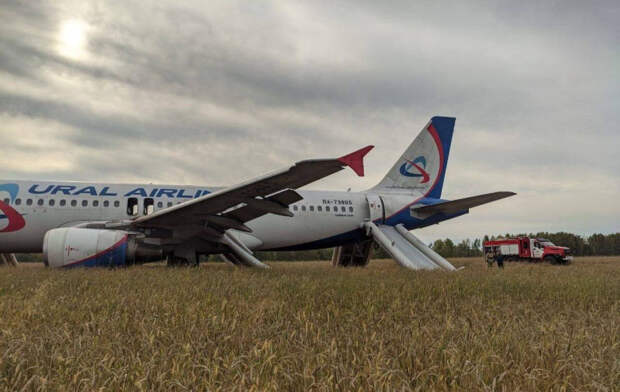 Пилота, который в 2023 году посадил самолёт в поле и спас 167 человек, хотят засудить