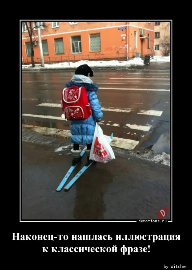 Зеленый светофор. Светофор с кнопкой для пешеходов. Зебра и светофор. Переходи́ть доро́гу на зелёный свет светофо́ра. Едет на лыжах.