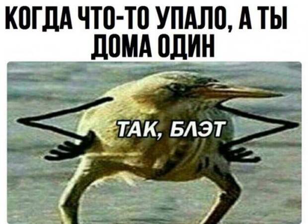Свежие фотомемы для настроения (22 шт)