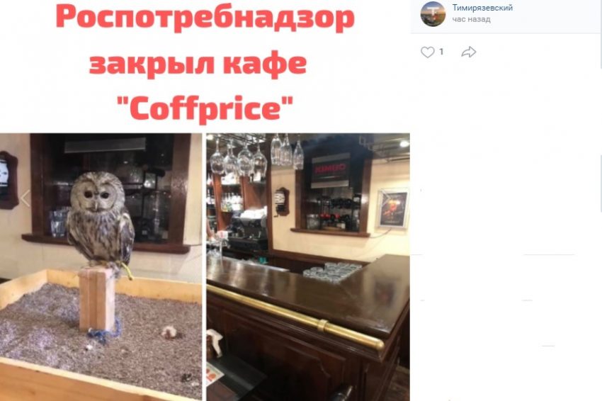 Роспотребнадзор закрыл совиное кафе на Тимирязевской