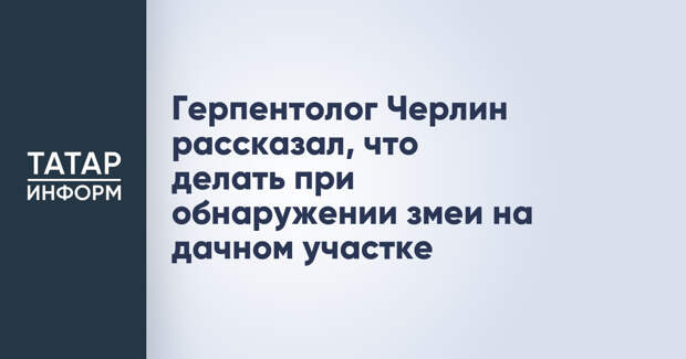 Герпентолог Черлин рассказал, что делать при обнаружении змеи на дачном участке