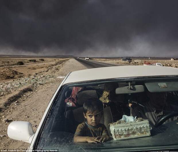 Иракские беженцы из региона Шора рядом с Мосулом, где их застали бои правительственной армии с боевиками ИГ, добрались до контрольно-пропускного пункта на севере Эль-Кайяры Sony World Photography, Sony World Photography Awards 2017, фотоконкурс