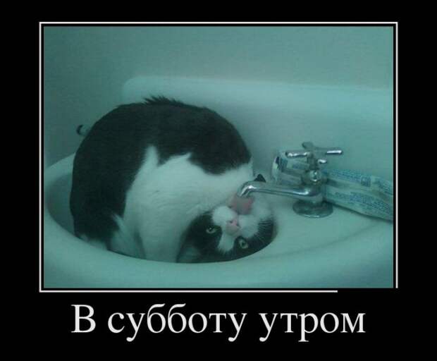 Демотиваторы (30 фото)