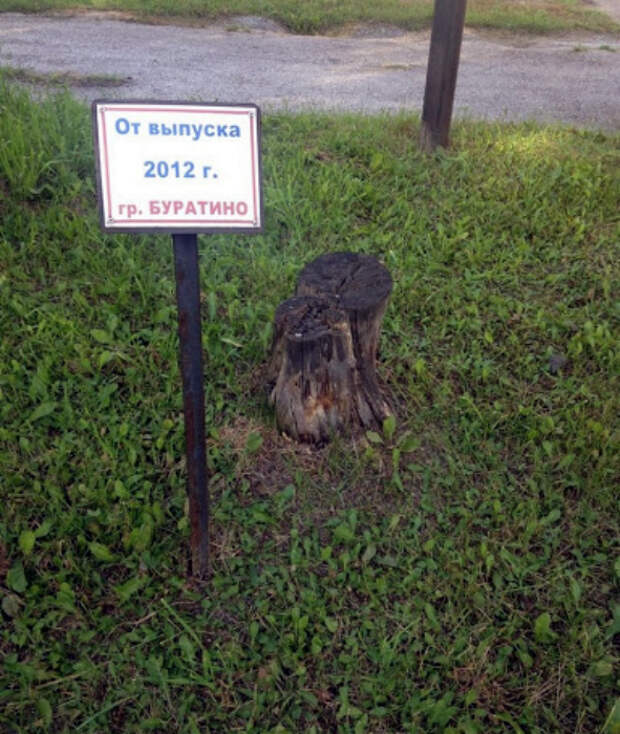 По мнению Novate.ru, дерево от группы «Буратино» было использовано по назначению... | Фото: БАгиня.