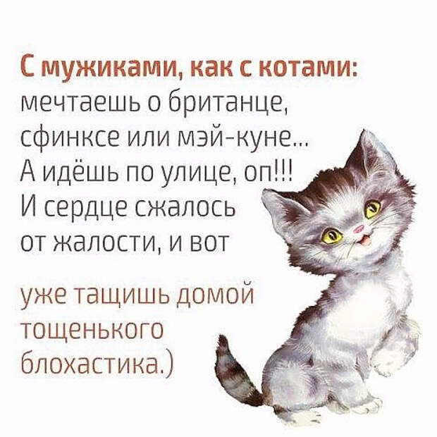 36ZvbccCiF4 (480x480, 149Kb)