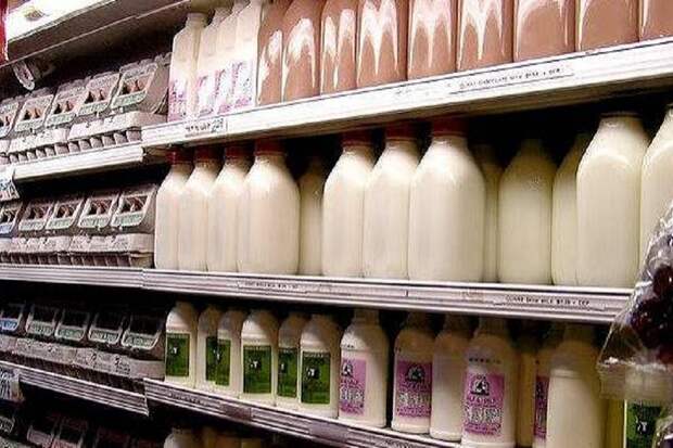 Половина продаваемого молока в Петербурге оказалась фальсификатом