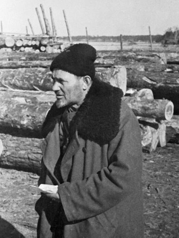 Дед, которого боялся Гитлер. Сидор Ковпак и его партизанская армия