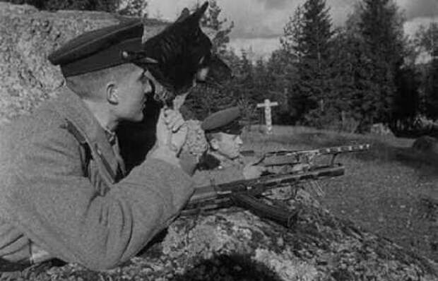 Март 1945: Ликвидация бандеровцев у горы Монастырь Март 1945: Ликвидация бандеровцев у горы Монастырь