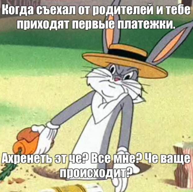 Психологические аспекты аренды жилья. Часть 2