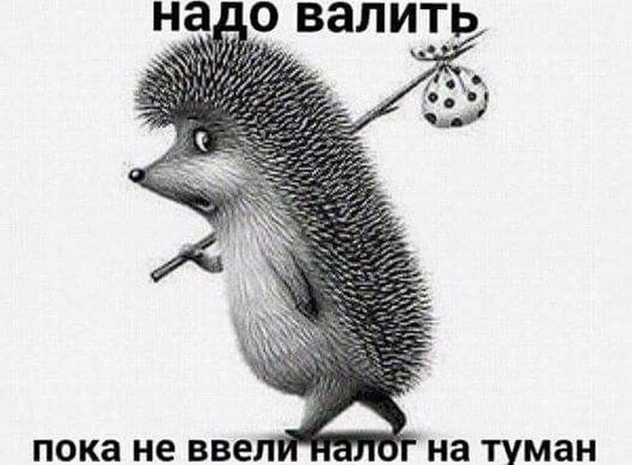 Подборка веселых фото из сетей