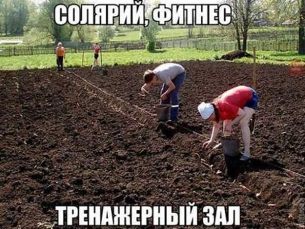 Дачное