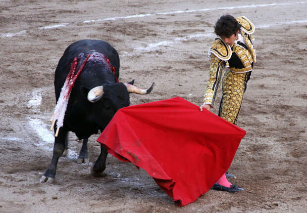 Может, на самом деле быка просто раздражает матадор? /Фото: upload.wikimedia.org