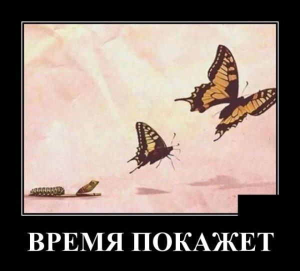 Демотиваторы, смотреть и поднимать настроение