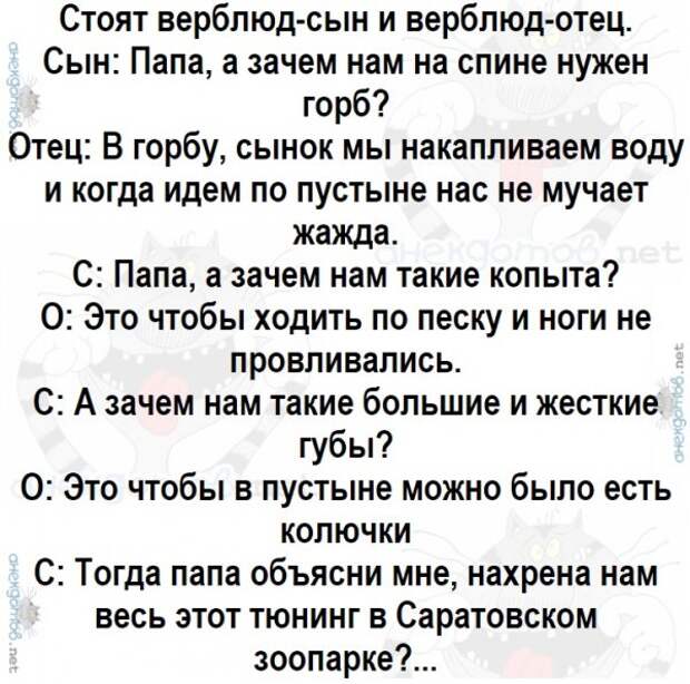 Анекдоты - лучшее от "анекдотовнет"