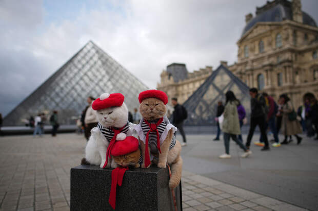 Лувр вновь закрылся из-за забастовки сотрудников
