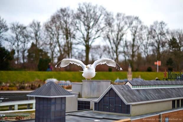 241 Madurodam   музей миниатюры в Гааге