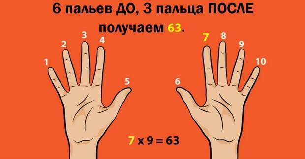 11 крайне полезных трюков, которым только некоторых из нас научили в школе