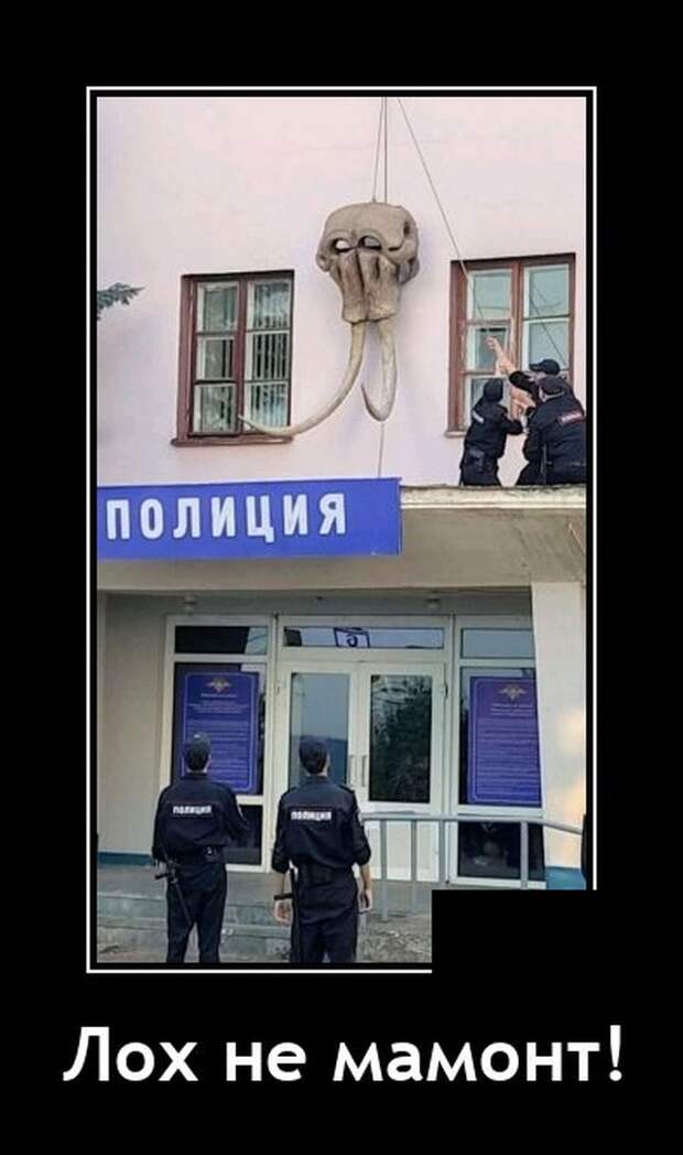 Демотиваторы 18 августа 2021