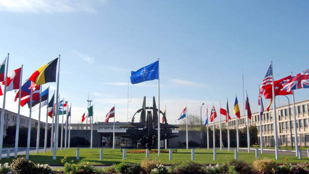Украина может получить план действий по членству в НАТО в июне